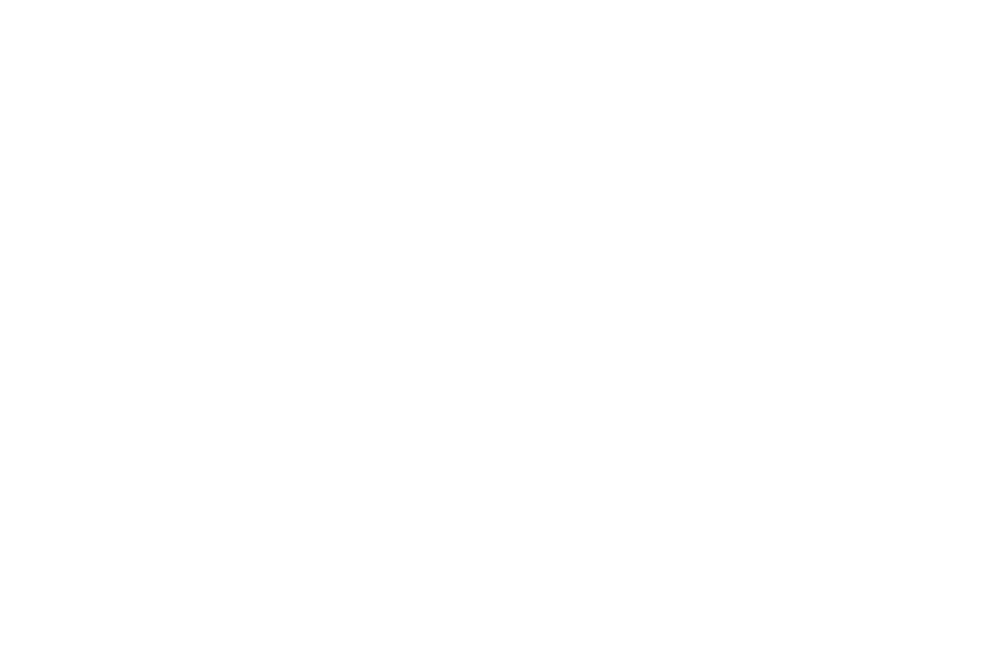 Main Street Commercial Partners